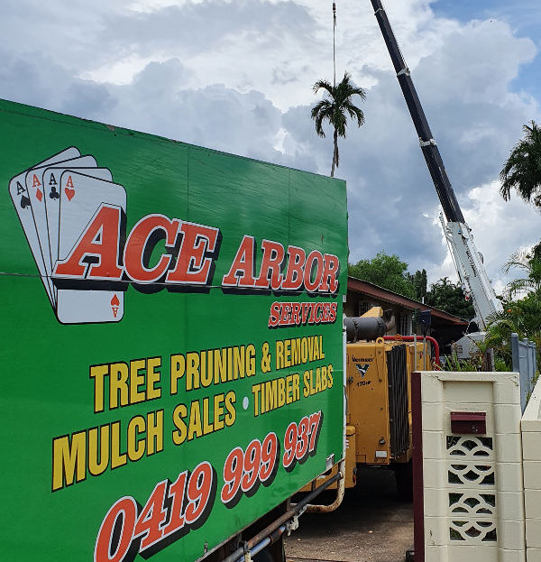 Ace Arbor Services Darwin